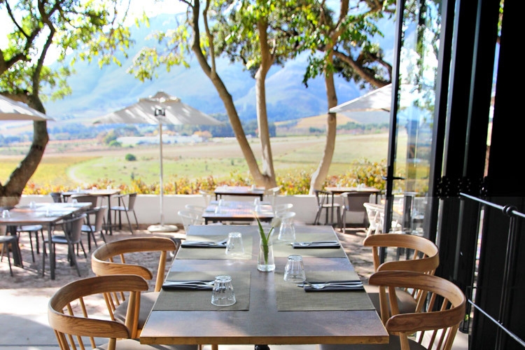 Haskell Vineyards